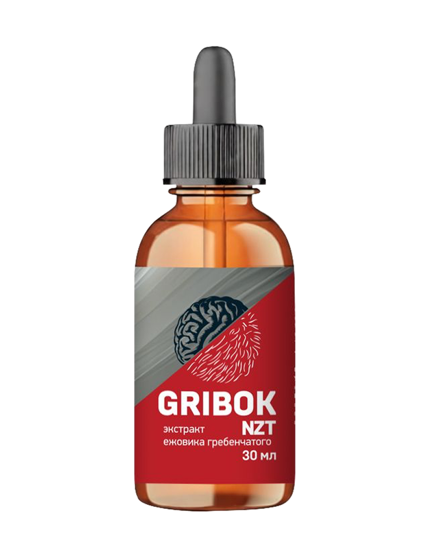 GRIBOK экстракт ежовика гребенчатая